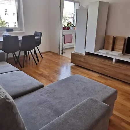 Linzer Schick Apartment 公寓 林茨
